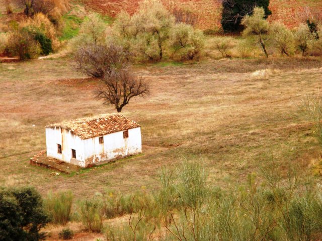 El pueblo